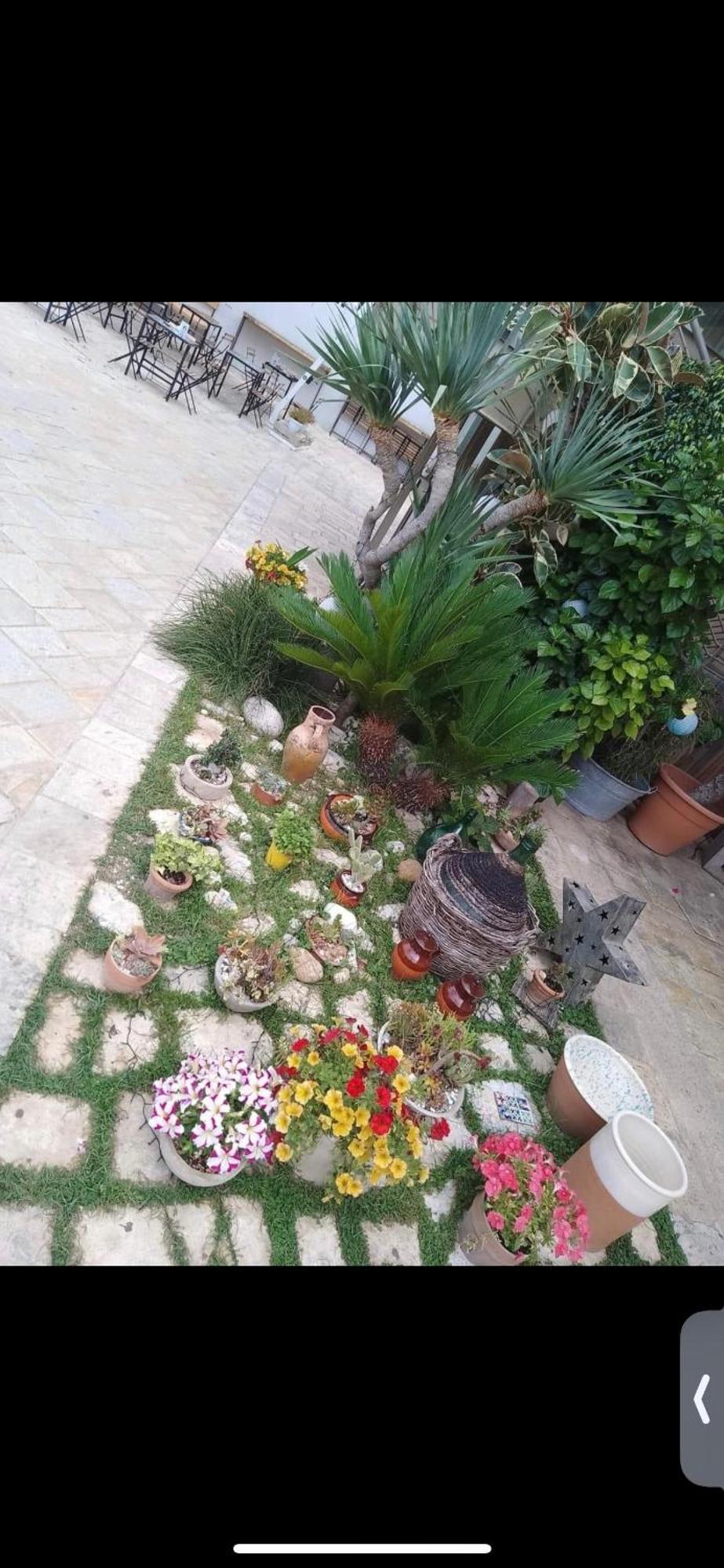 מסניה Vico Luxury Room מראה חיצוני תמונה